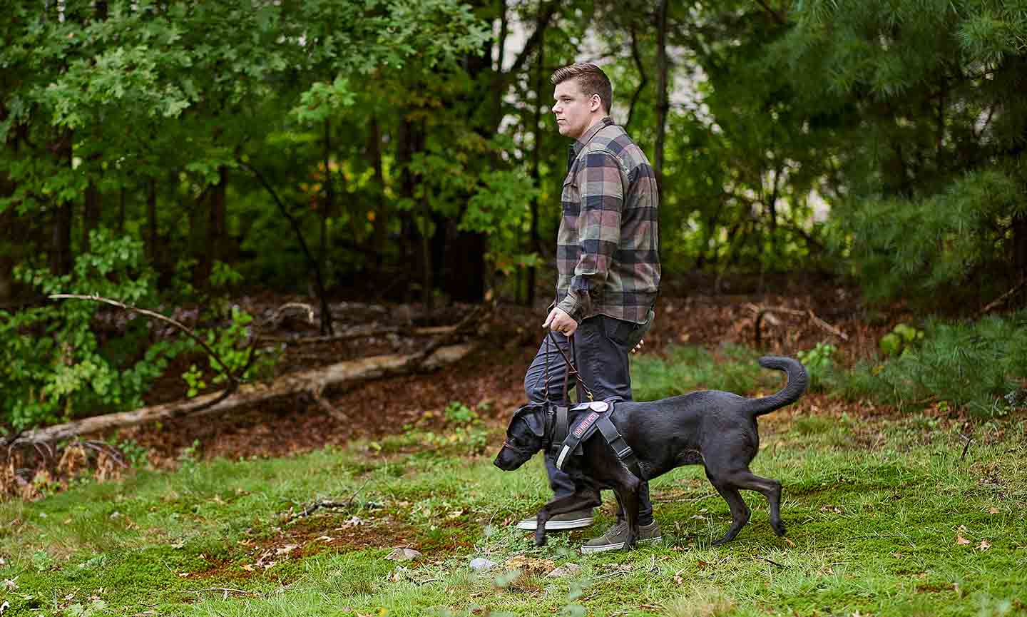 Chewy service clearance dog