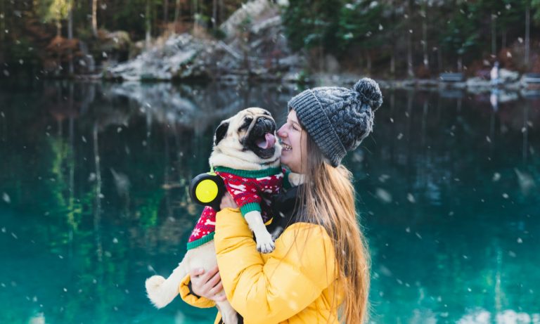 best day trips with dogs