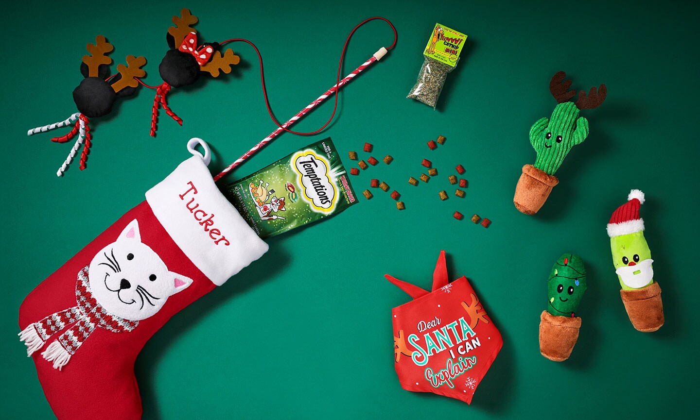 stocking stuffers for cats