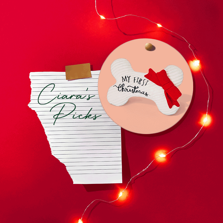 Holiday pet gifts - Ciara's picks