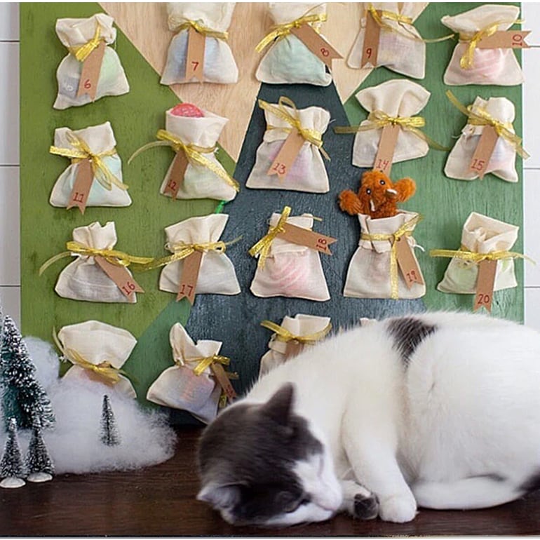 12 Ways to Celebrate Christmas With Your Pets