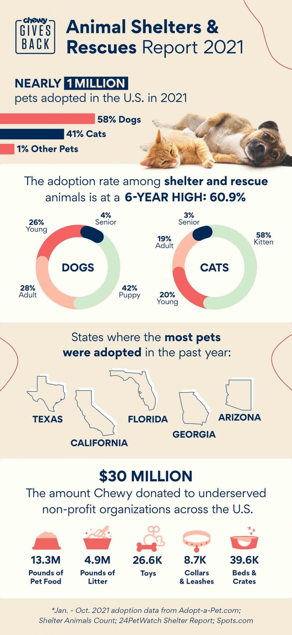 how many dogs are given up for adoption each year