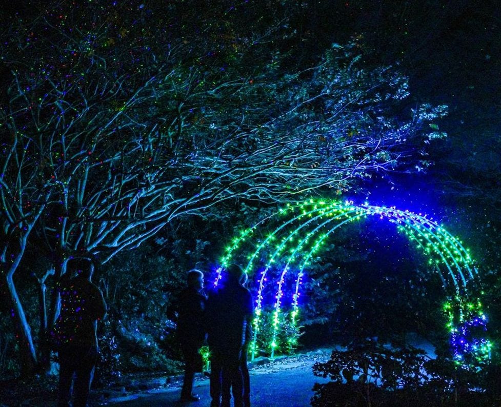 New England Zoo to Ring in Holiday Season With Lights Spectacular