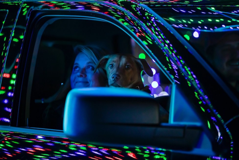 Illinois: Let it Shine Light Show