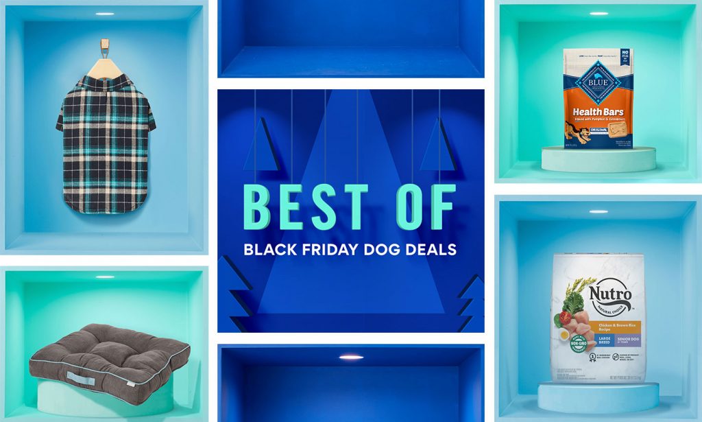 Chewy's Best Black Friday Dog Deals 2021