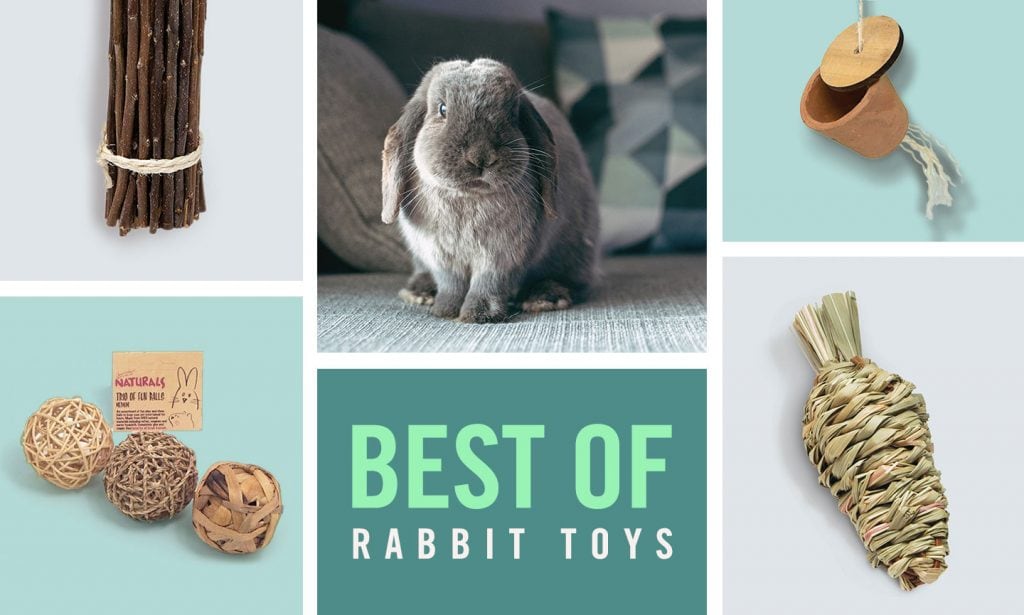 best rabbit toys