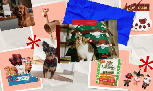 bechewy editors picks for best holiday pet gifts 2022