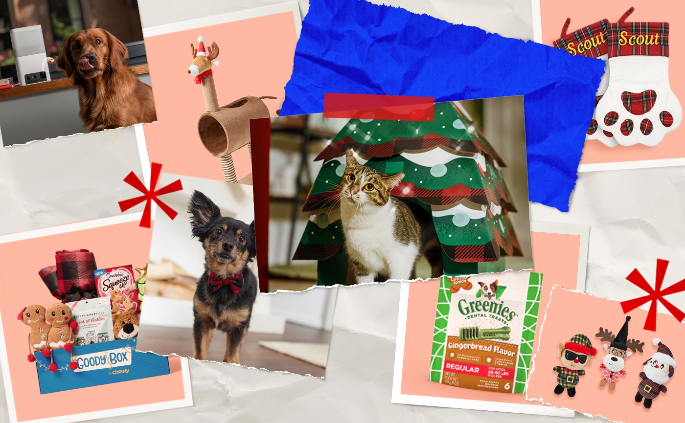 chewy christmas toys for dogs