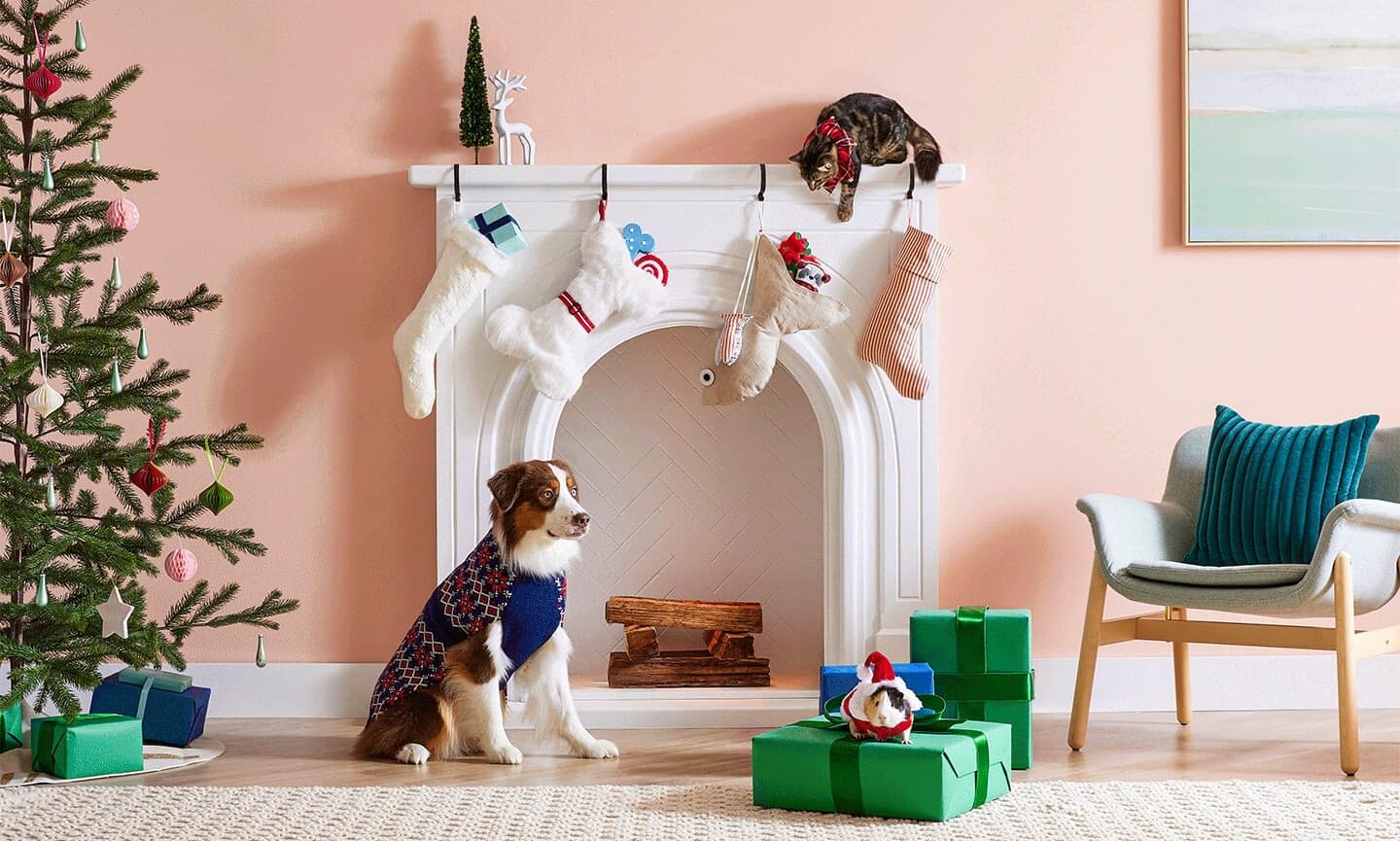 Pet Christmas Stockings That You Can Make (Fast and Easy!)
