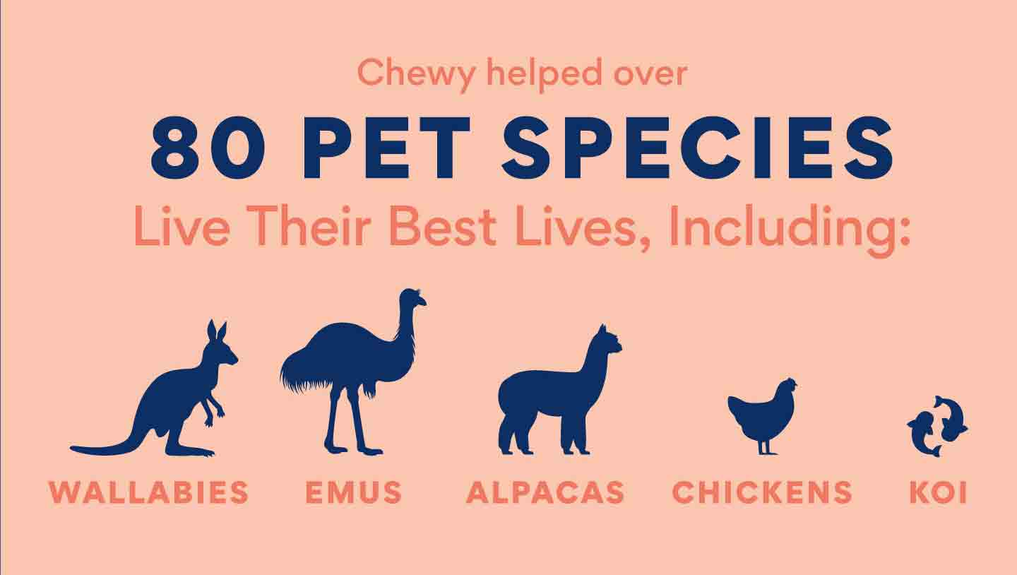 pet statistics