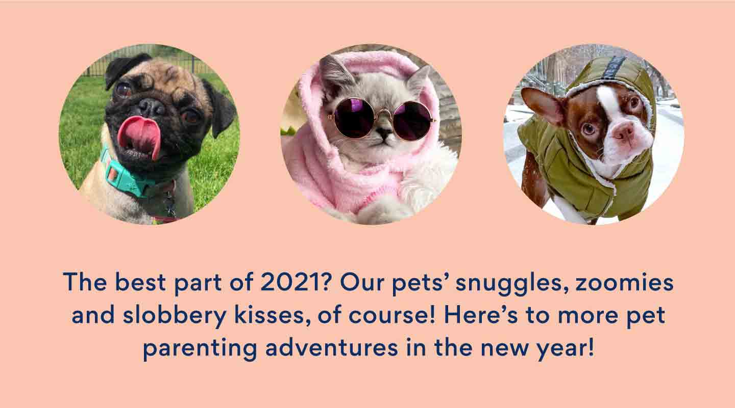 pet statistics