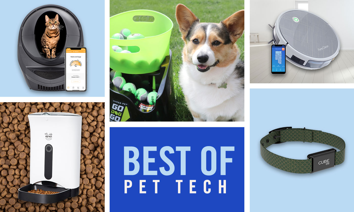 The Best Pet Tech Gadgets and Smart Devices