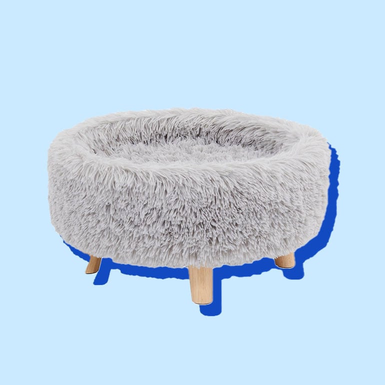 best cat beds - elevated cat beds