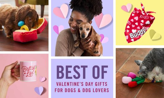 best valentine gifts for dogs and gifts for dog lovers