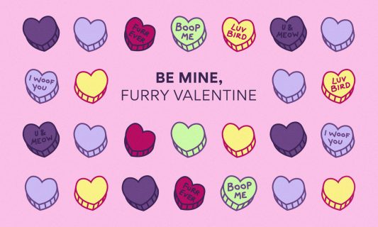 free valentines day ecards - cute animal cards