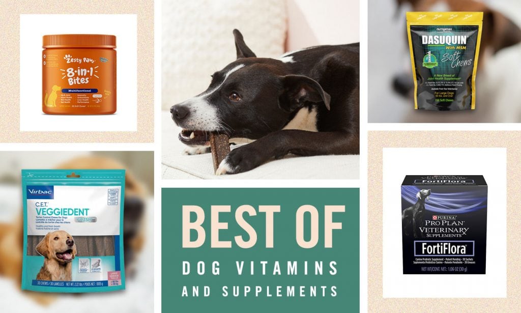 best dog vitamins and dog supplements