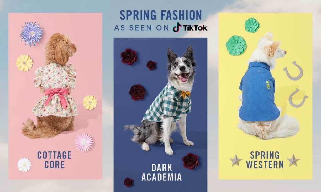 tiktok dog fashions spring 2022