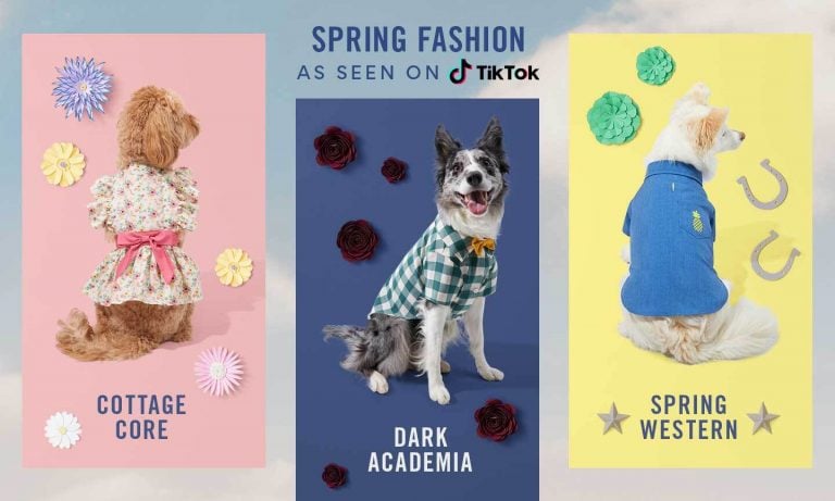 https://media-be.chewy.com/wp-content/uploads/2022/03/15161806/tiktok-dog-fashions-spring-2022-768x461.jpg