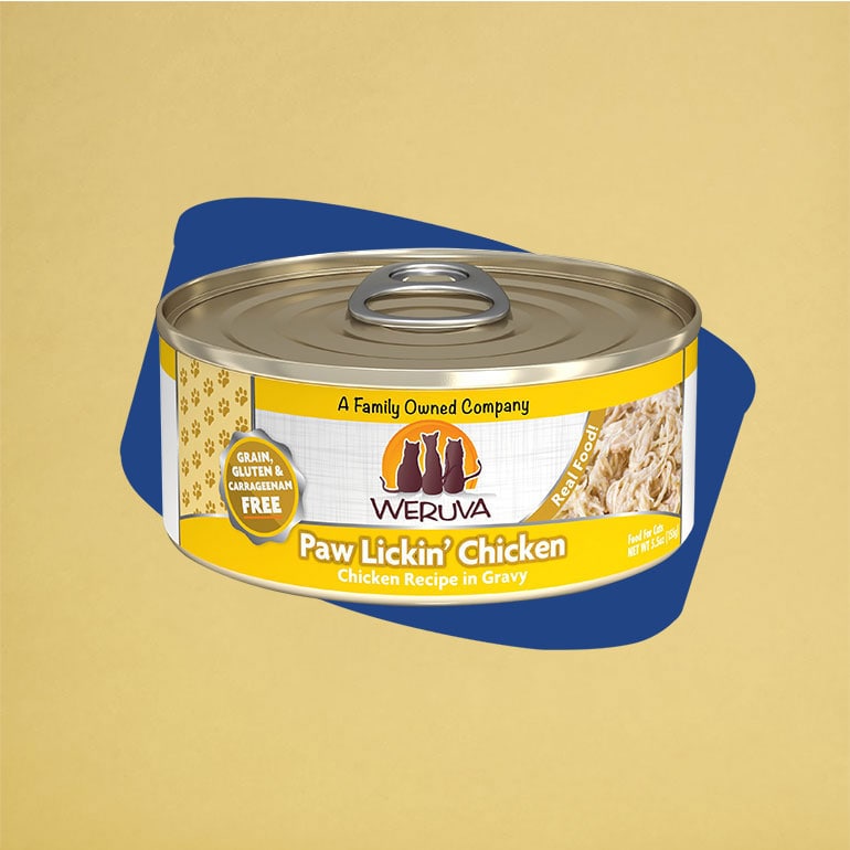 Buying Guide How to Pick the Best HighQuality Cat Food for Your Pet BeChewy