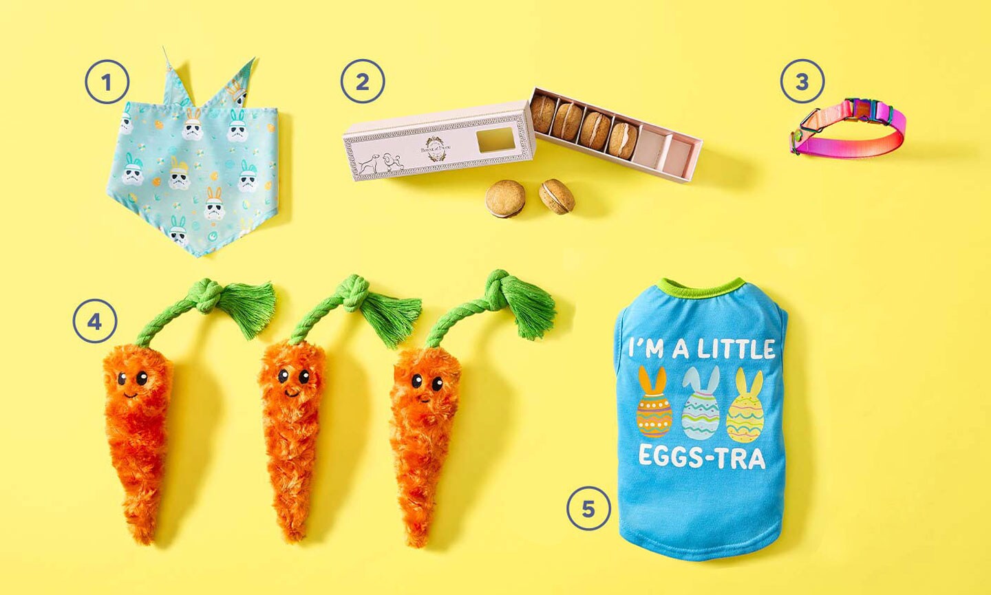 5 Dog Easter Basket Gift Ideas BeChewy