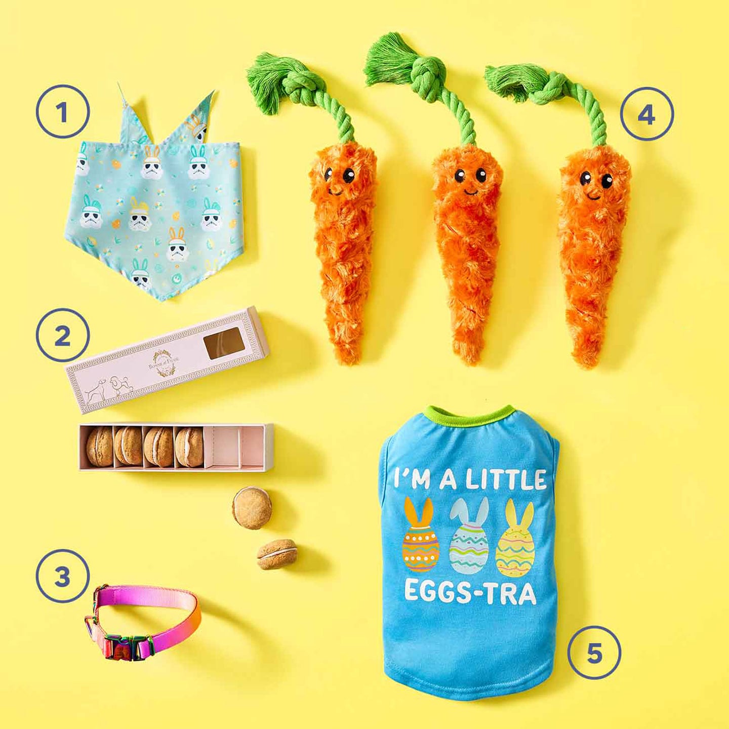 5 Dog Easter Basket Gift Ideas BeChewy