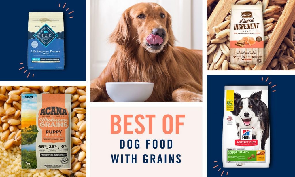 best dog food with grains