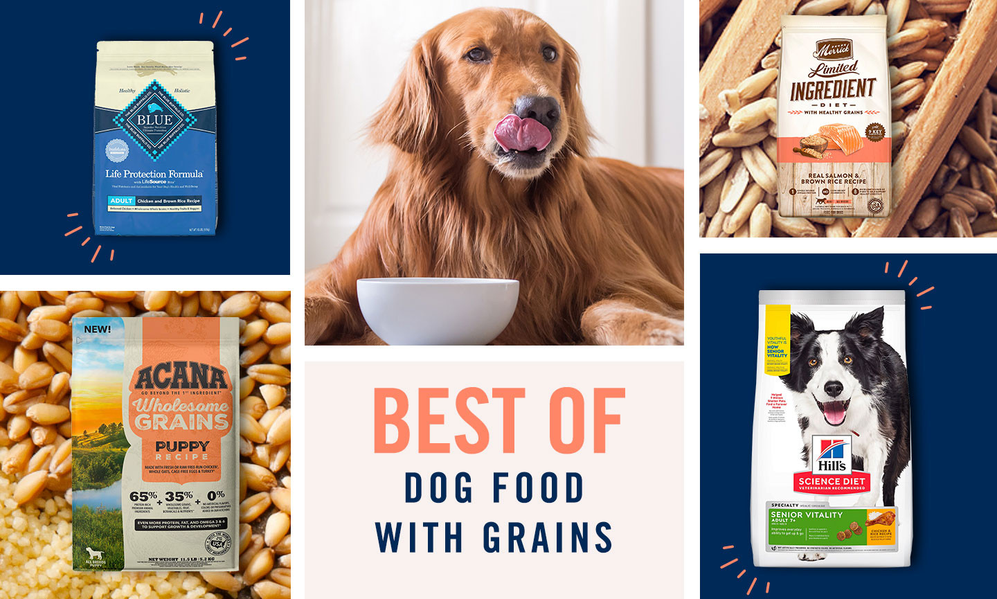 should dogs eat grains