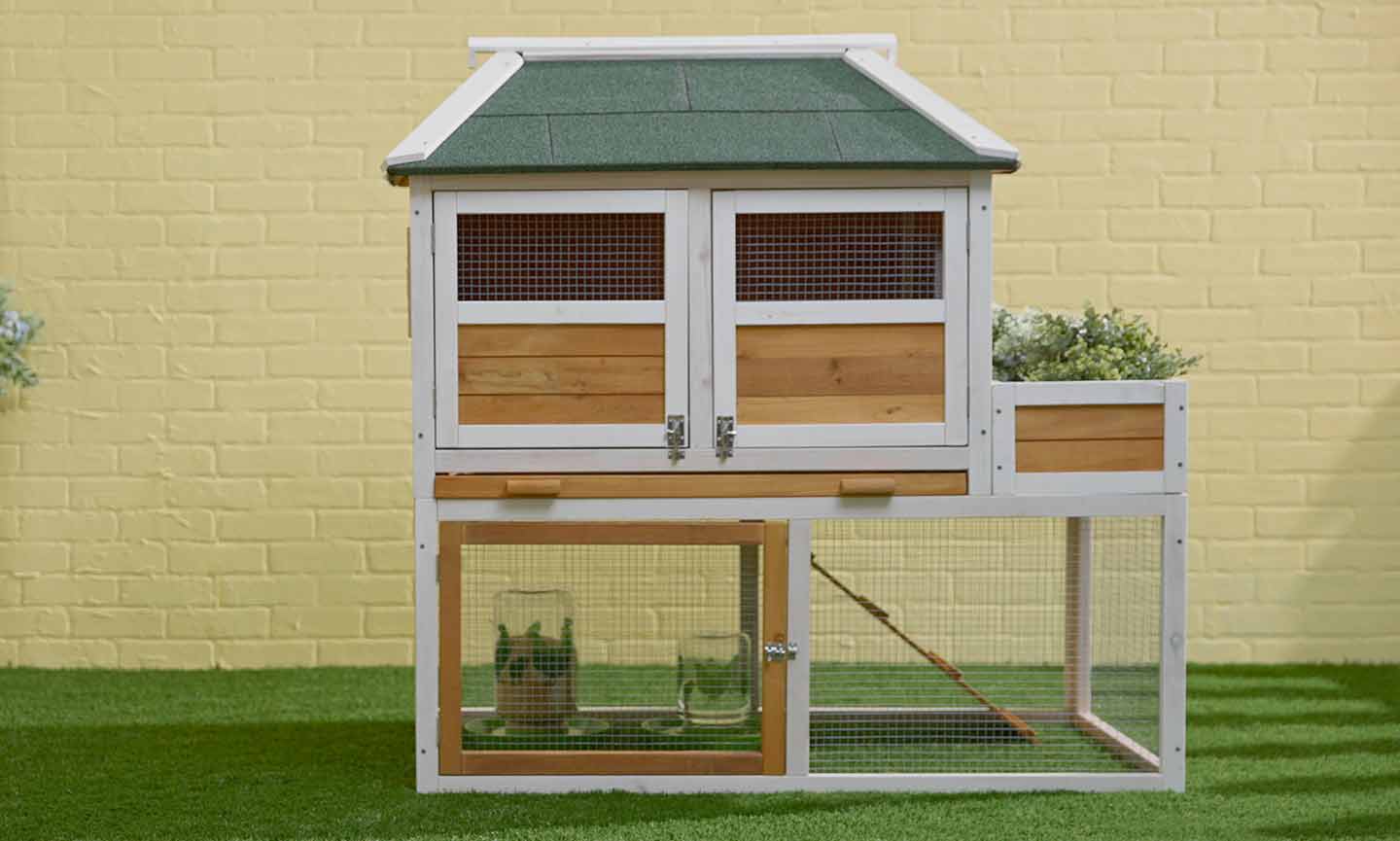 how to raise backyard chickens