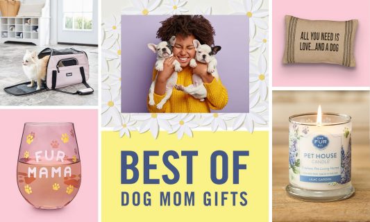 best dog mom gifts
