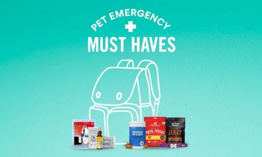 pet emergency must-haves
