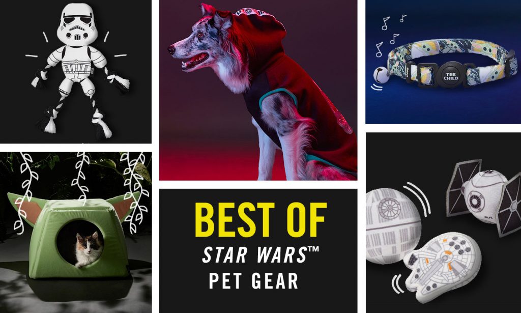 star wars dog and cat products