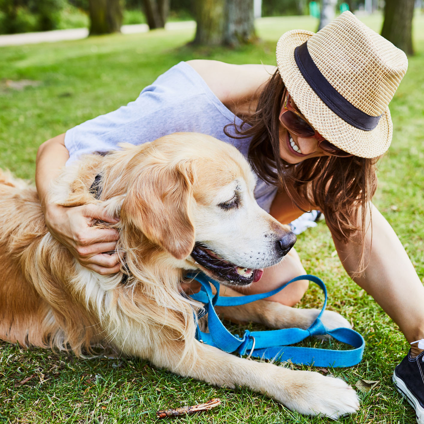 dog at festival with pet parent