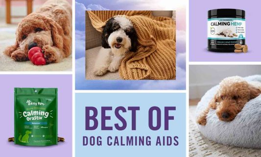 Best of Dog Calming Aids