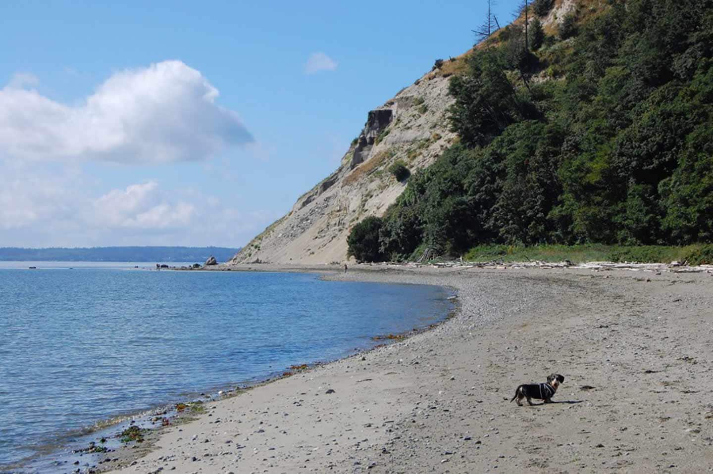 dog-friendly beaches