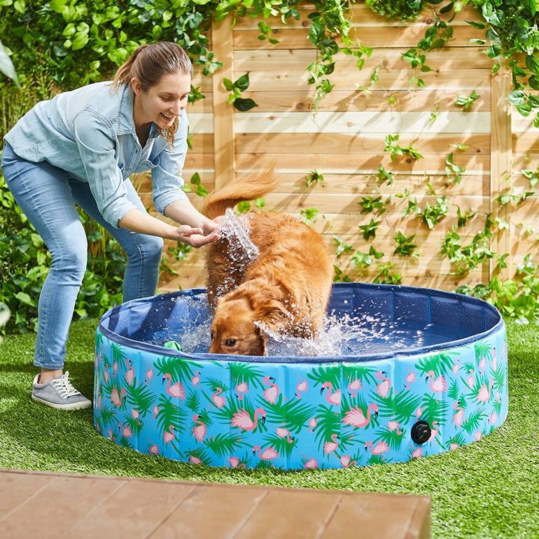 editors picks summer pet gear - dog pool