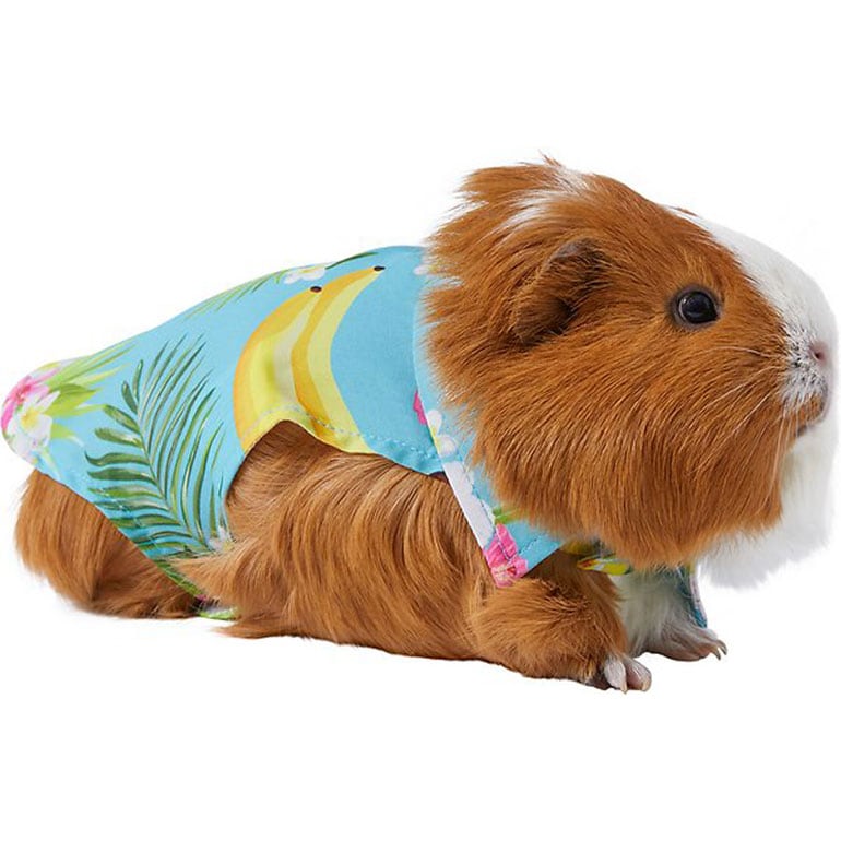 editors picks summer pet gear - guinea pig shirt