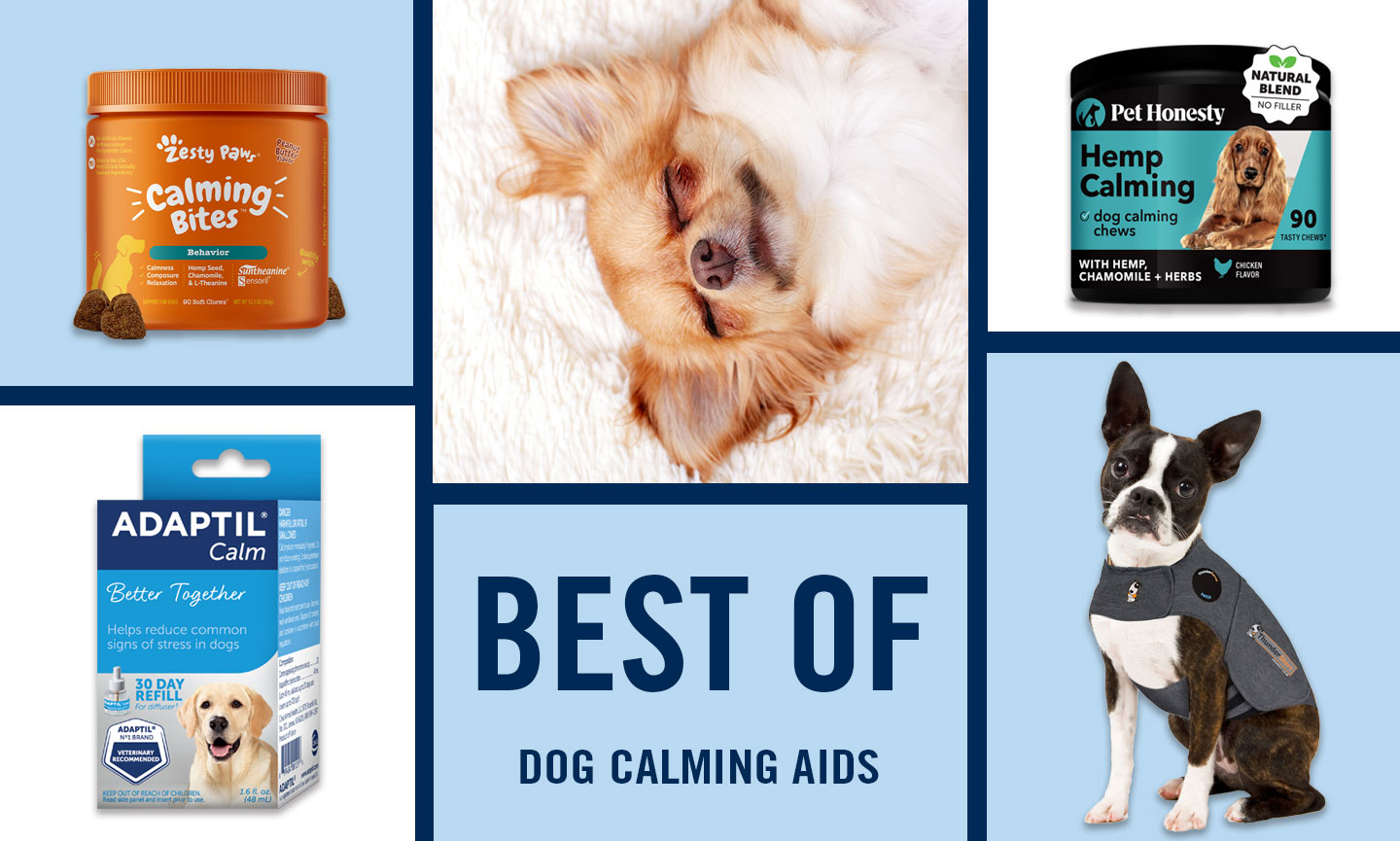 Best calming for dogs hotsell