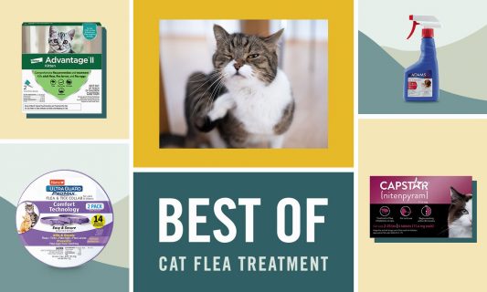 best flea treatments for cats