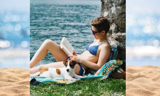 BeChewy Beach Reads for Pet Parents