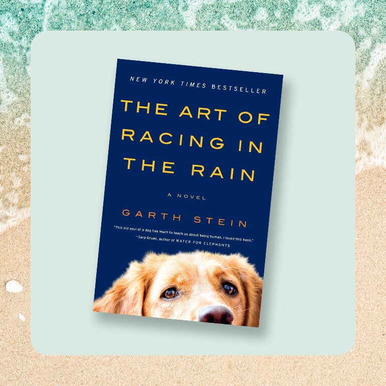 The Art of Racing in the Rain book cover