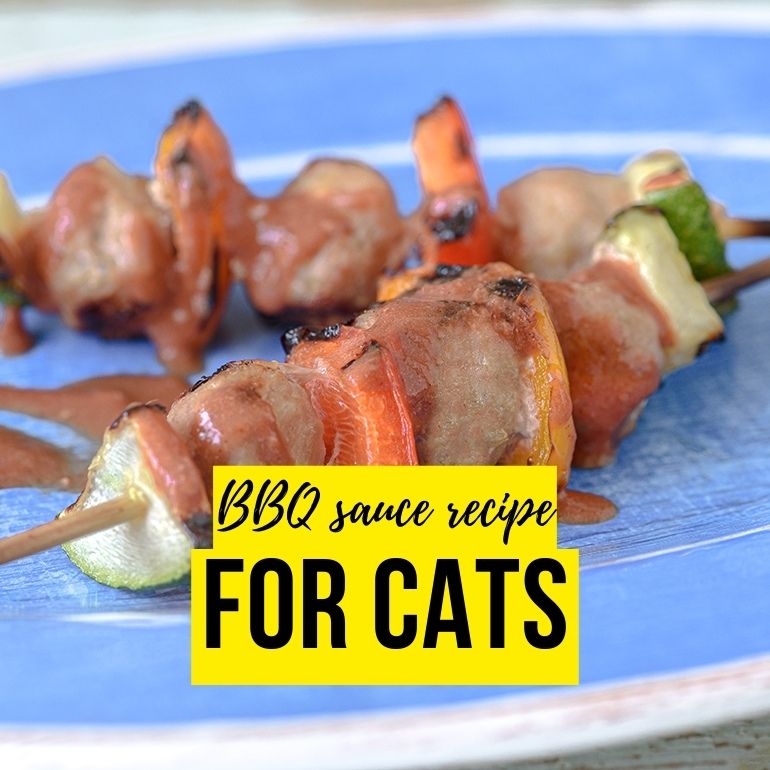 bbq sauce recipe for cats