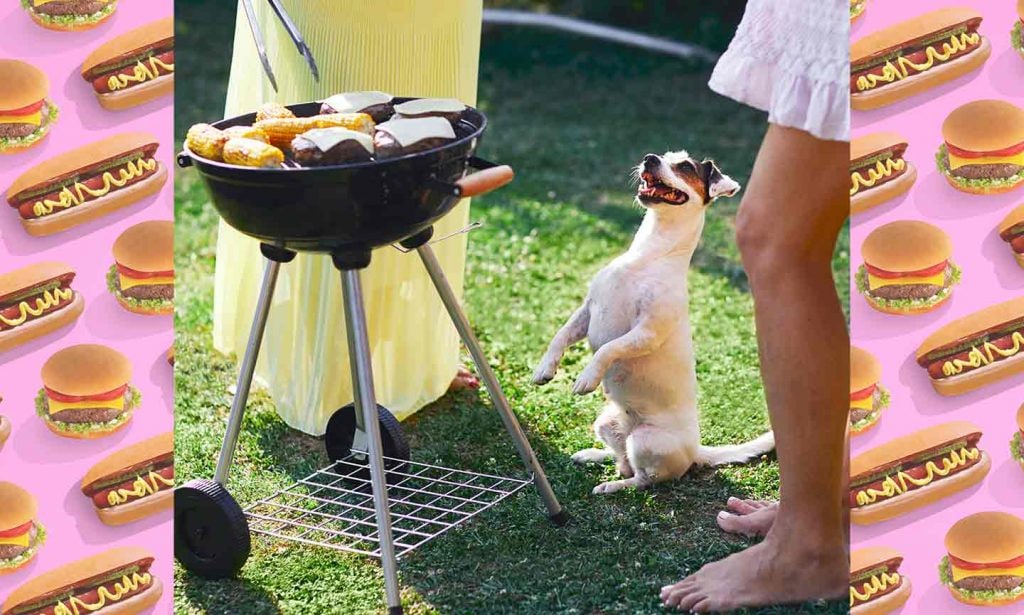 bbq safety for pets