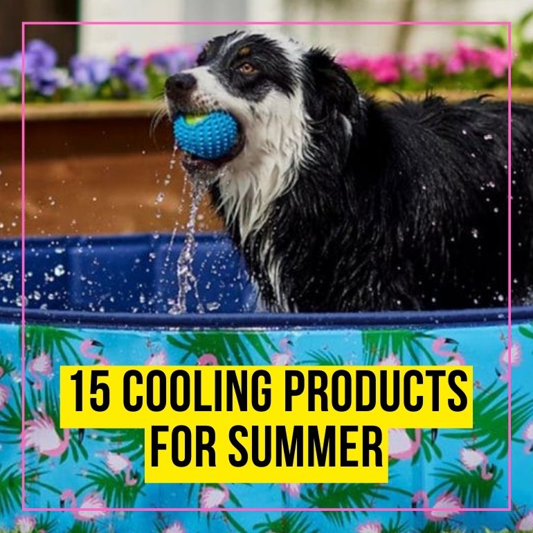 cooling products CTA