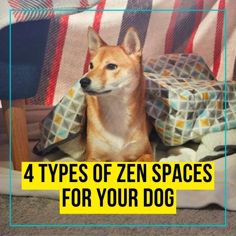 zen spaces for your dog CTA