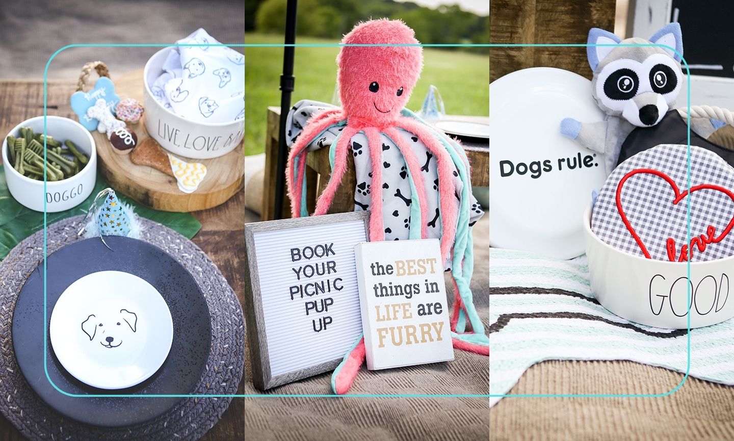 Puppy picnic must-haves