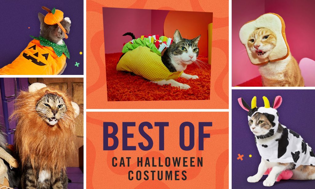 best cat costumes