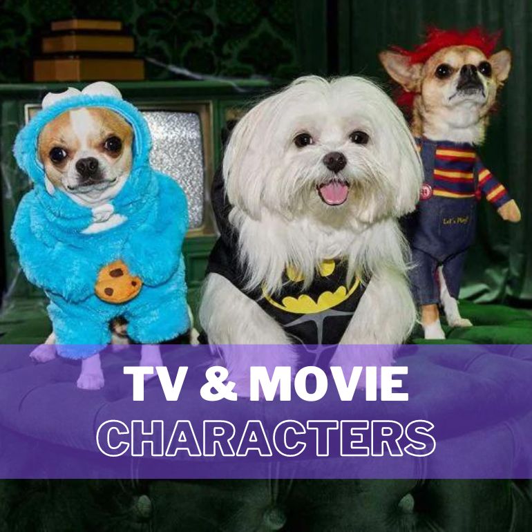 These 3 dogs dressed as the witches from 'Hocus Pocus' will make you so  happy