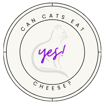 can cats eat cheese badge bechewy