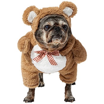 Frisco Front Walking Teddy Bear Dog Costume