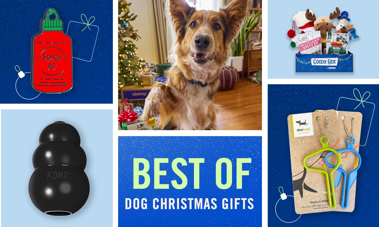 28 best gifts for dogs and dog lovers